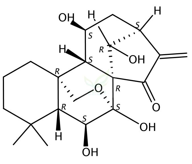 rosthorin A  93772-27-1 