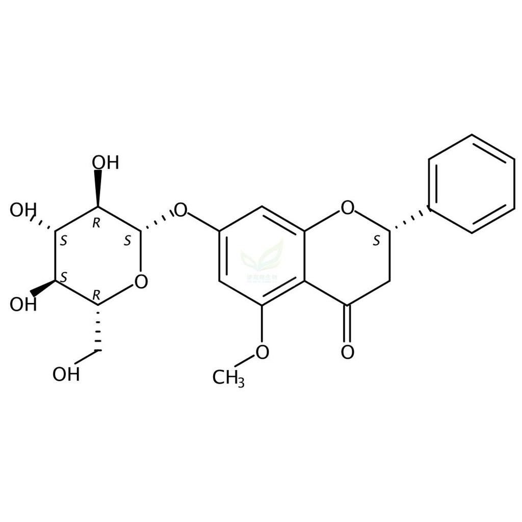 5-甲氧基-乔松苷  5-MethoxyPinocembroside  1450878-89-3