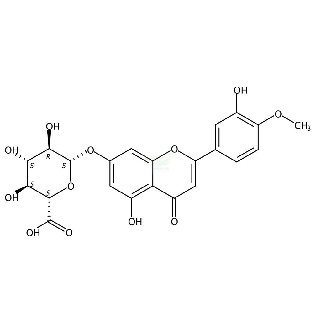 香叶木素 7-O-β-D-葡萄糖醛酸苷   35110-20-4