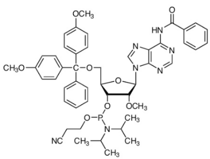 2'-OME-BZ-RA 亚磷酰胺单体