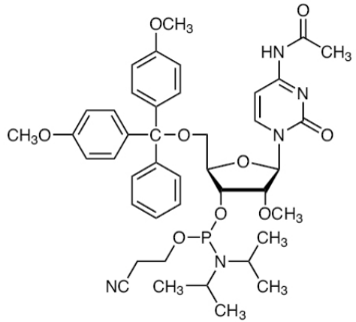 2'-OME-AC-RC 亚磷酰胺单体