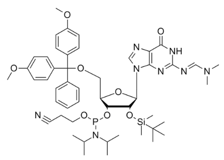 DMT-2'-O-TBDMS-G(DMF)-CE-亚磷酰胺