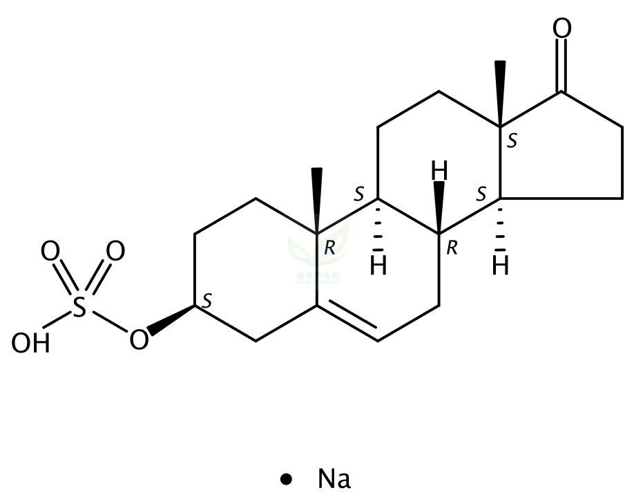 去氢表雄酮硫酸钠 Sodium Prasterone Sulfate 