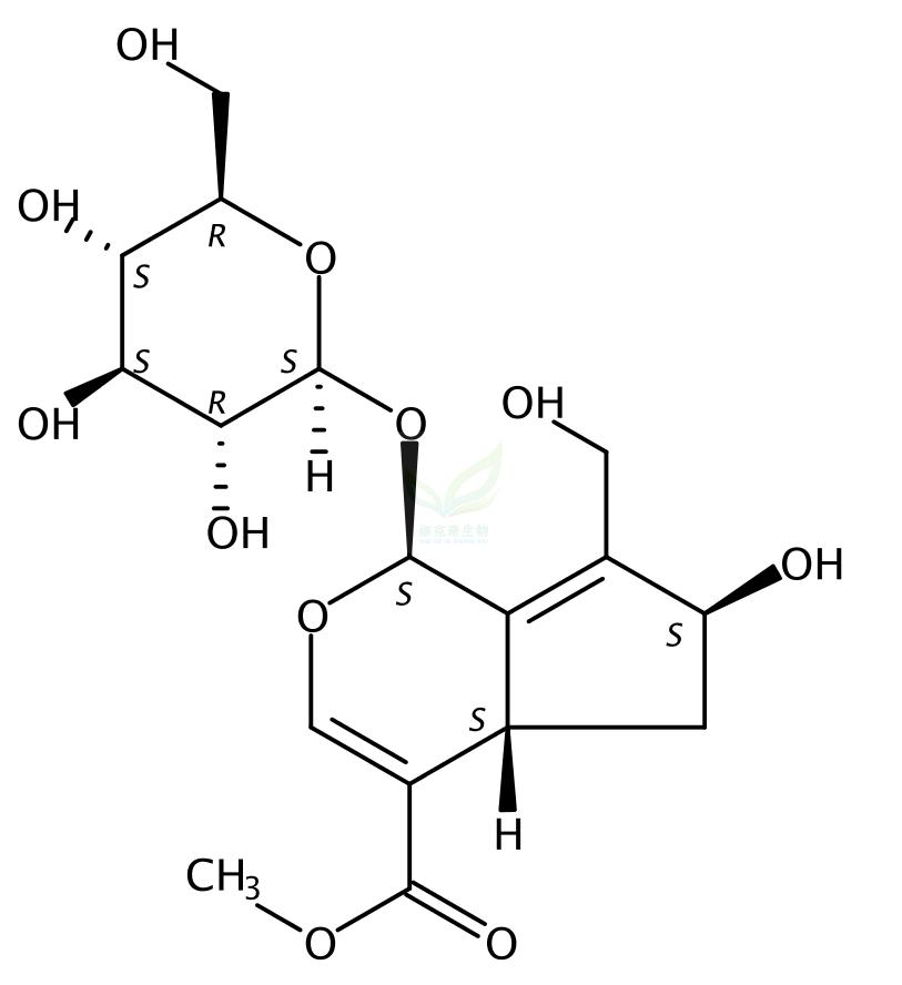 10-羟基大车前草苷 10-Hydroxymajoroside