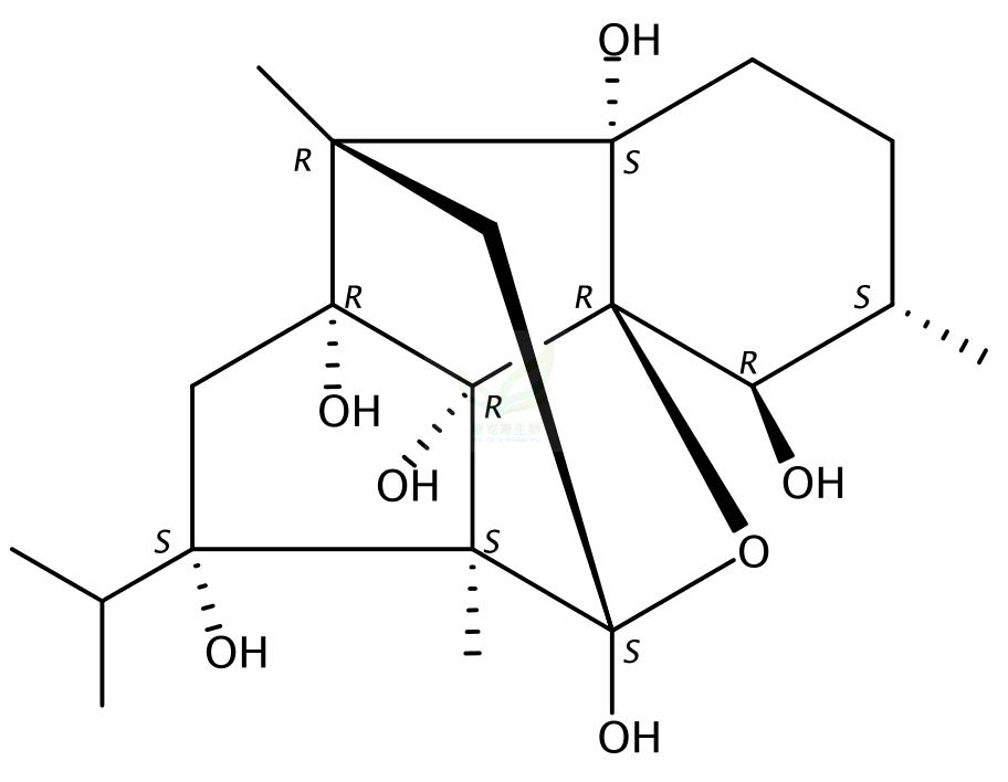 桂二萜醇  Cinnzeylanol