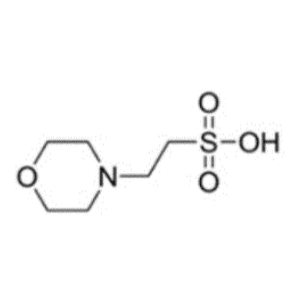 吗啉乙磺酸