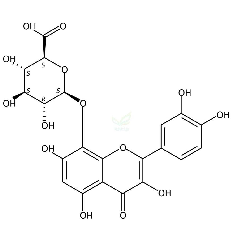 棉花皮素-8-O-葡萄糖醛酸苷 