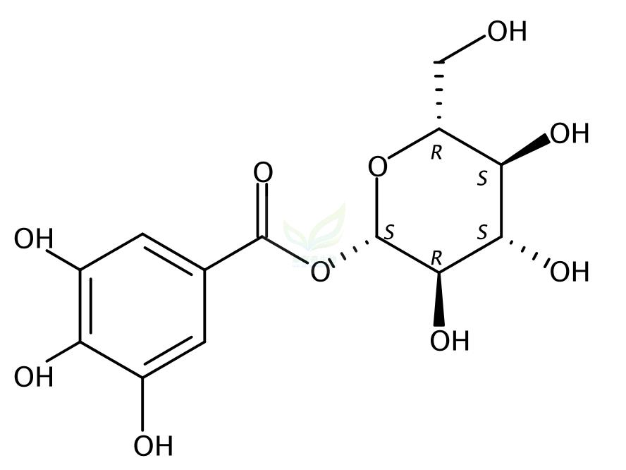 葡萄糖没食子鞣苷 beta-Glucogallin