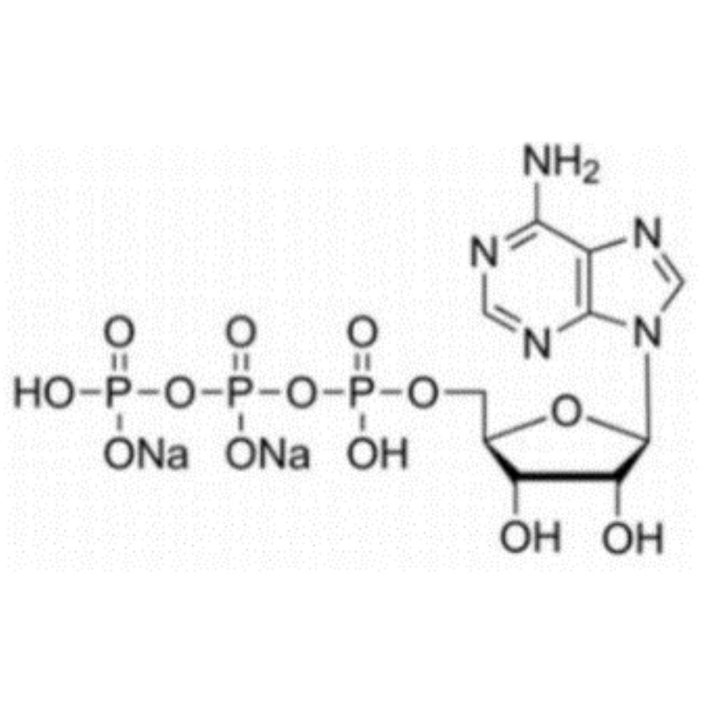 ATP 100mM solution