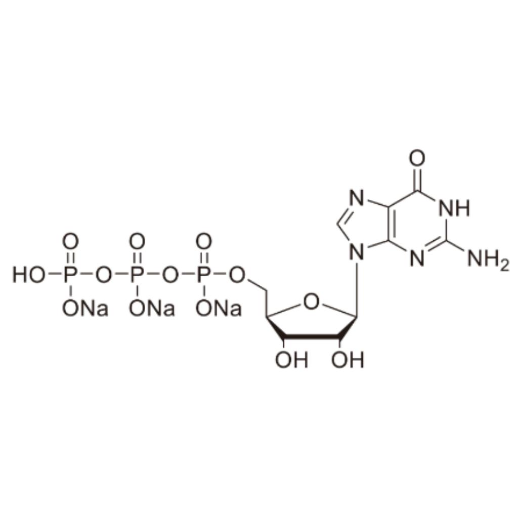 5'-三磷酸鸟苷三钠,100 MM溶液