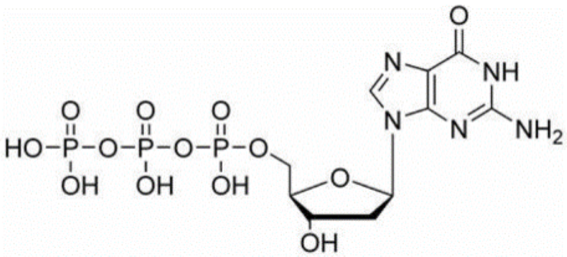dGTP 100mM solution