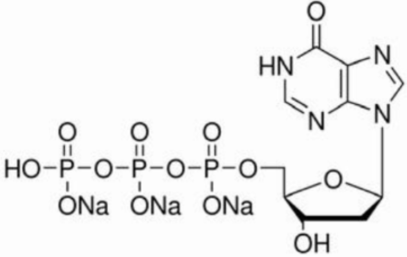 100MM脱氧肌苷三磷酸溶液 (DITP 100MM)