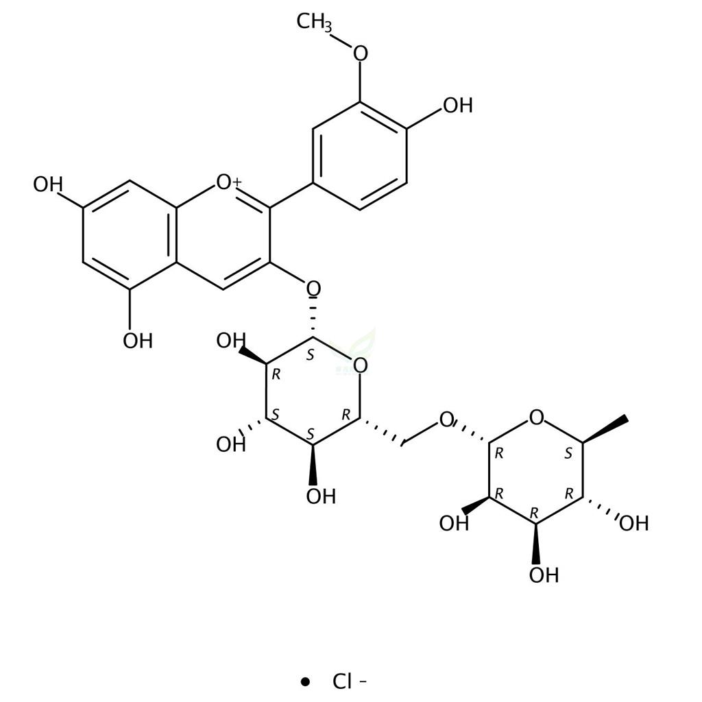 氯化芍药素-3-O-芸香糖苷 