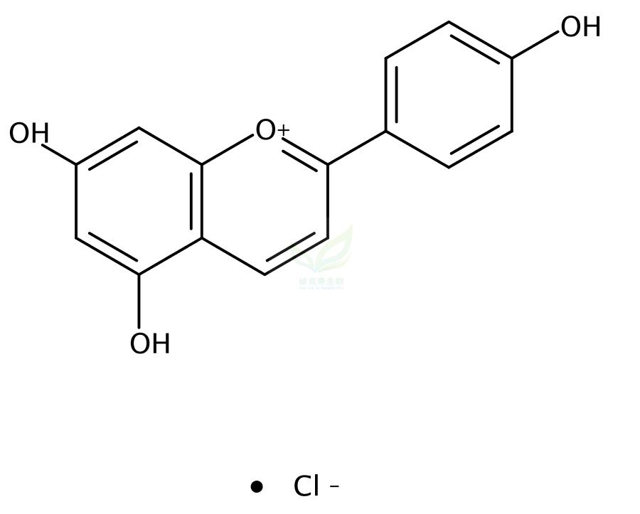 氯化芹菜定 Apigeninidin chloride 