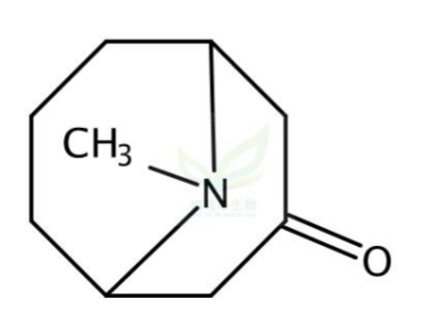 假石榴碱 Pseudopelletierine 