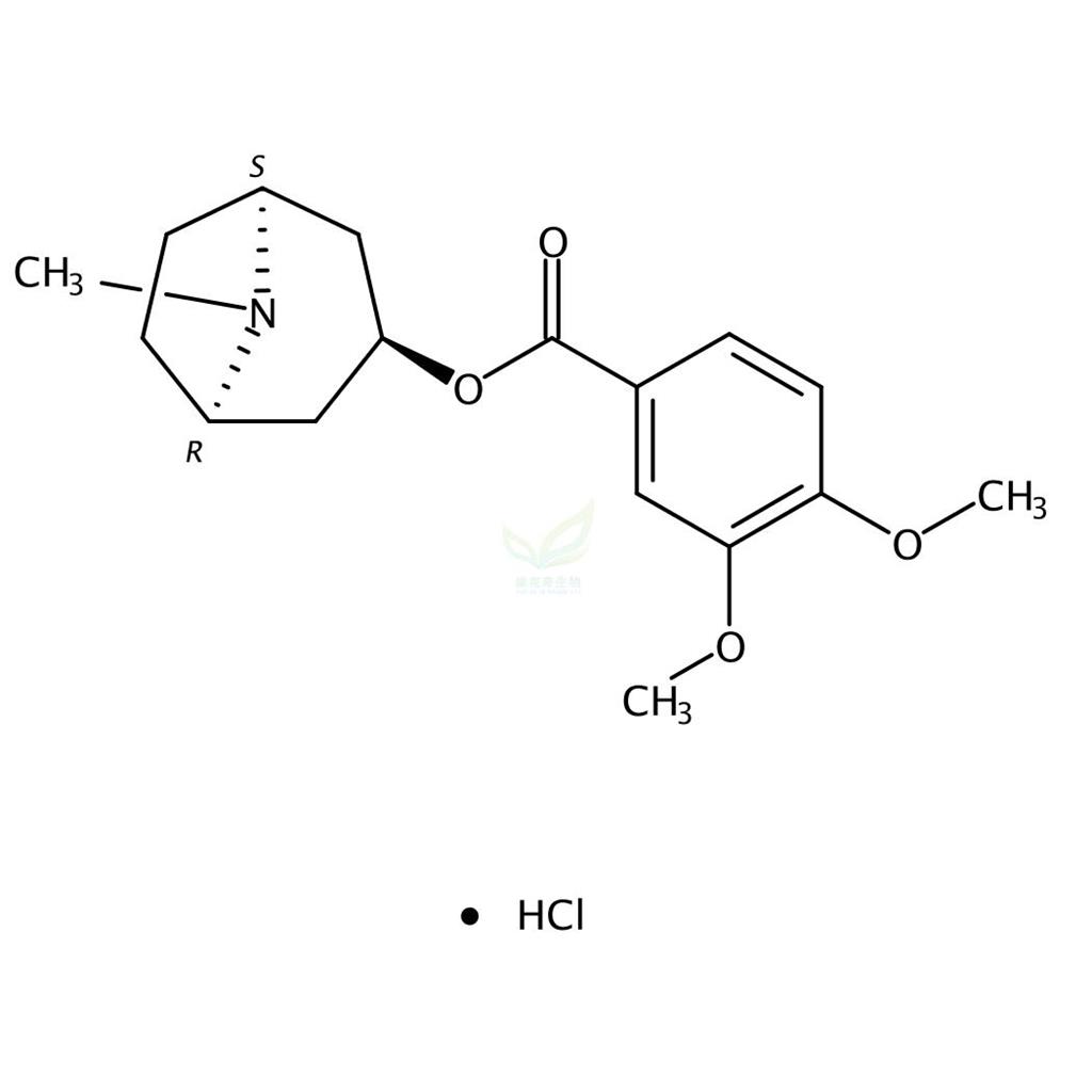 盐酸旋花胺 5896-59-3 