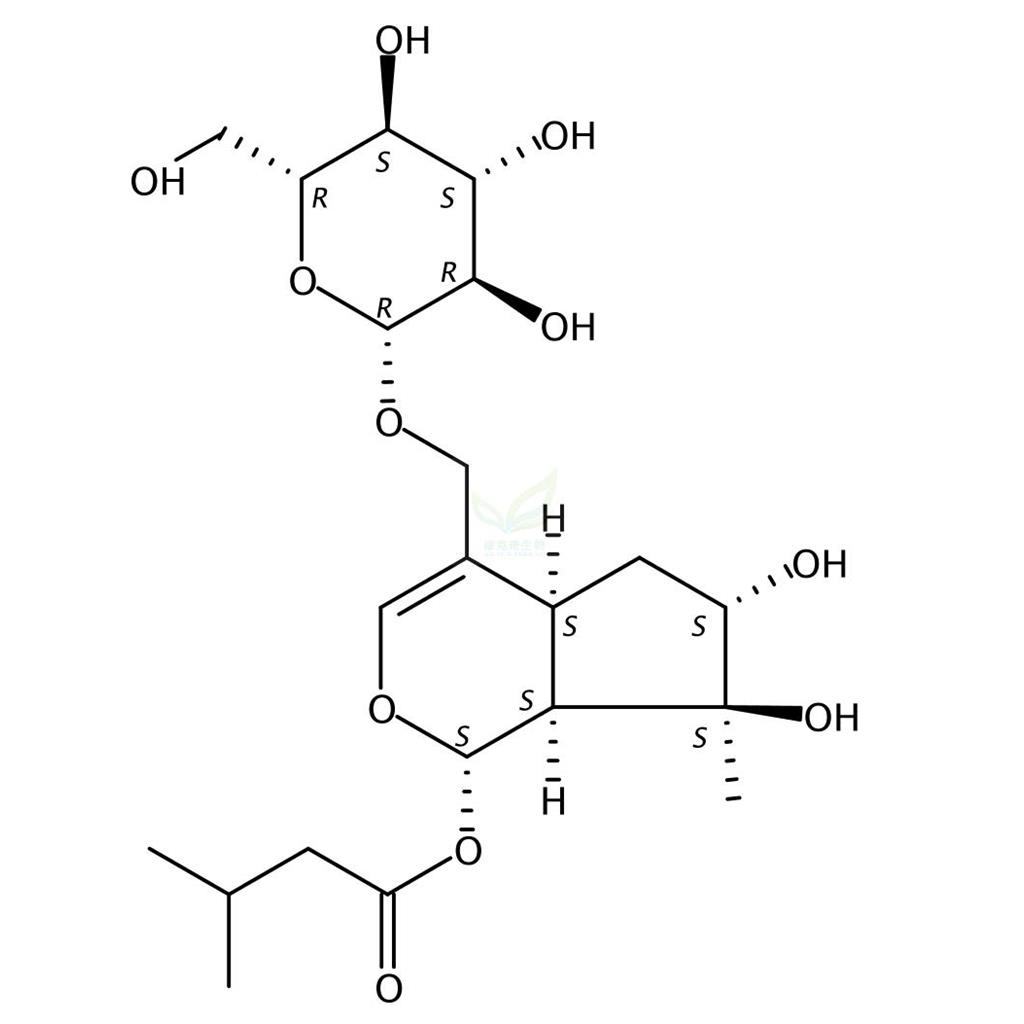 缬草苦苷 Valerosidate 