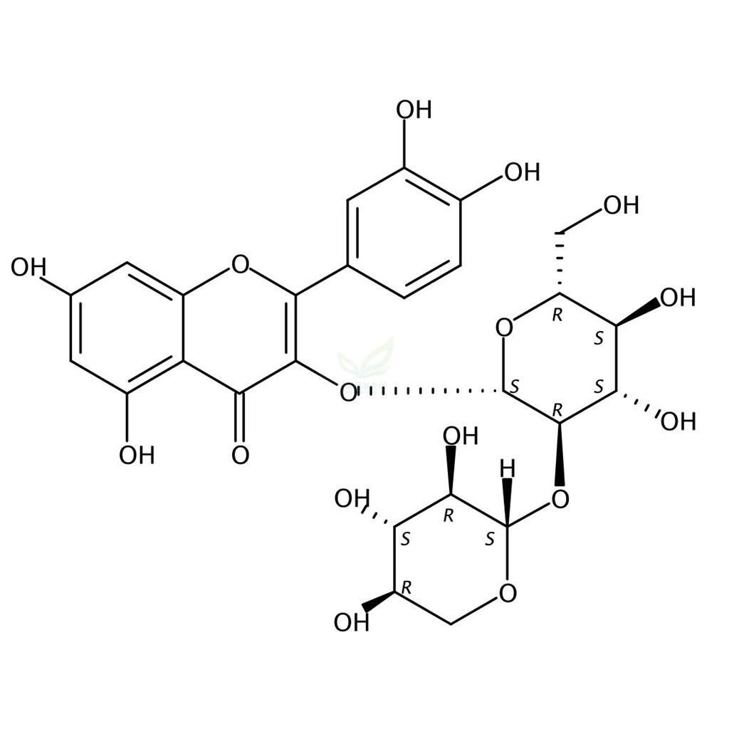 槲皮素-3-O-木糖（1-2）葡萄糖  83048-35-5