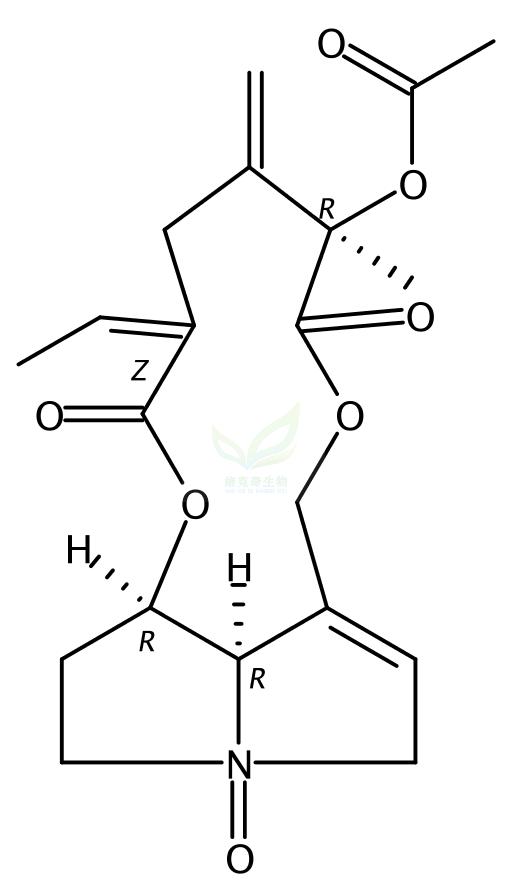 乙酰化千里光菲灵碱氮氧化物   Acetylseneciphylline N-oxide