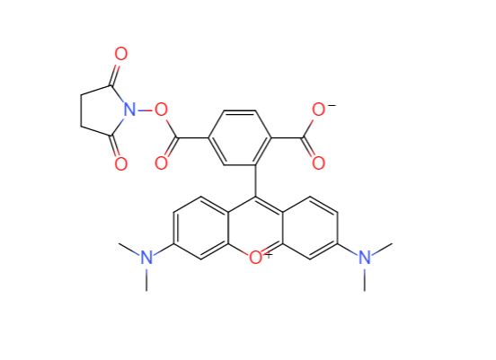 6-羧基四甲基罗丹明琥珀酰亚胺酯