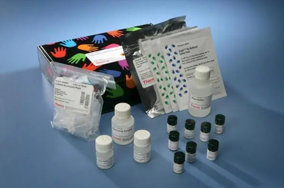毛囊DNA提取试剂盒