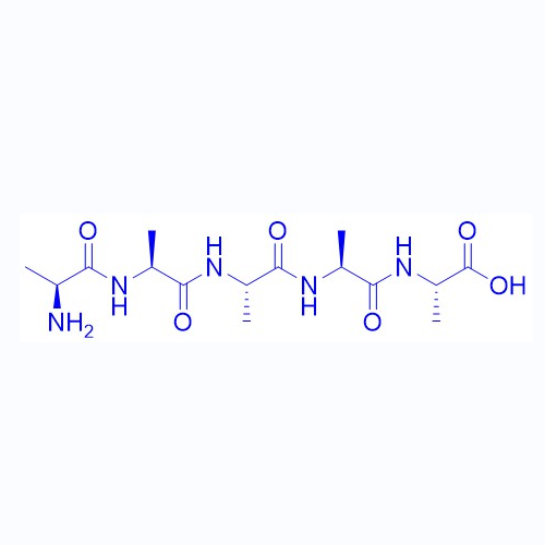 五聚丙氨酸/10183-34-3/Pentaalanine