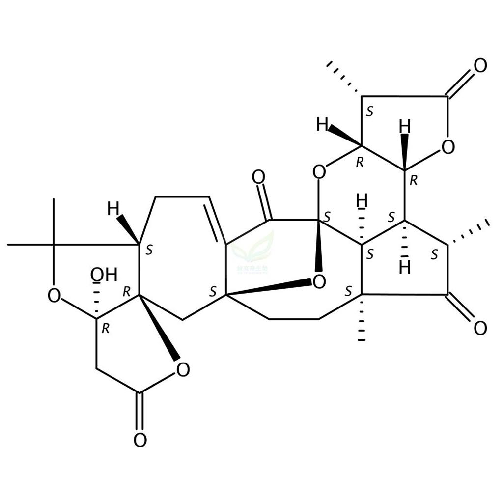 Schindilactone A  943239-45-0