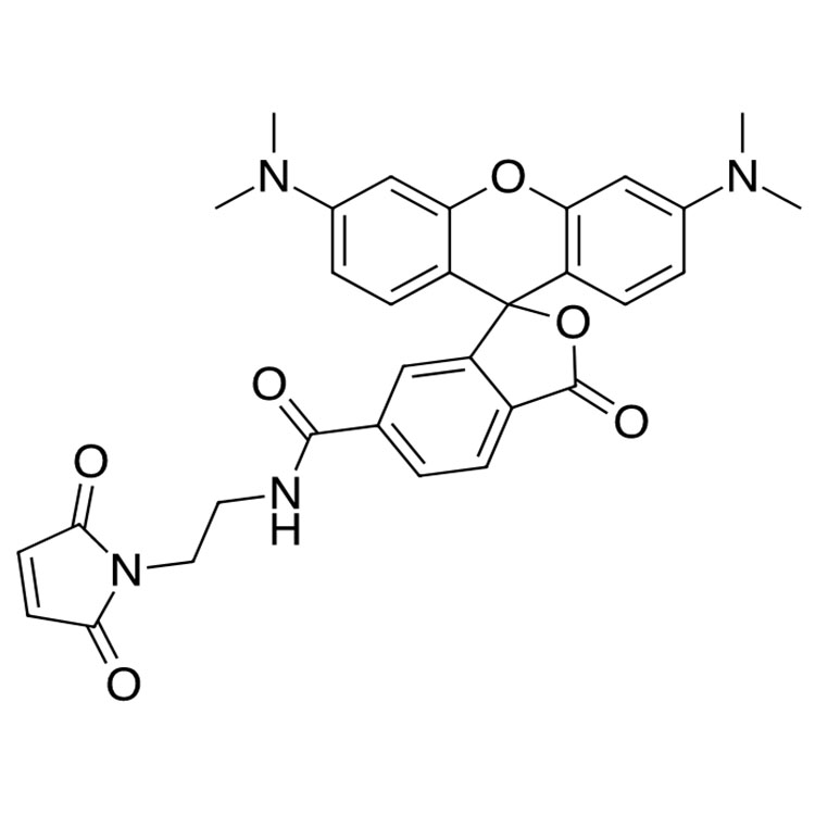 6-TAMRA-mal，6-四甲基罗丹明马来酰亚胺