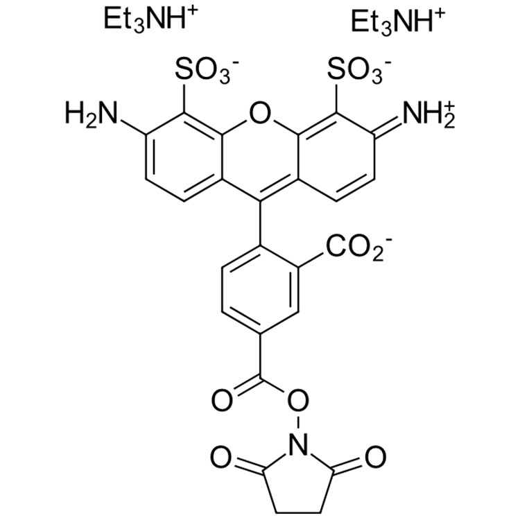 AFDye 488 Succinimidyl Ester，AFDye 488琥珀酰亚胺酯