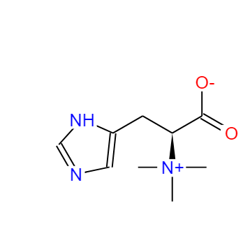 L-组氨酸甜菜碱 534-30-5