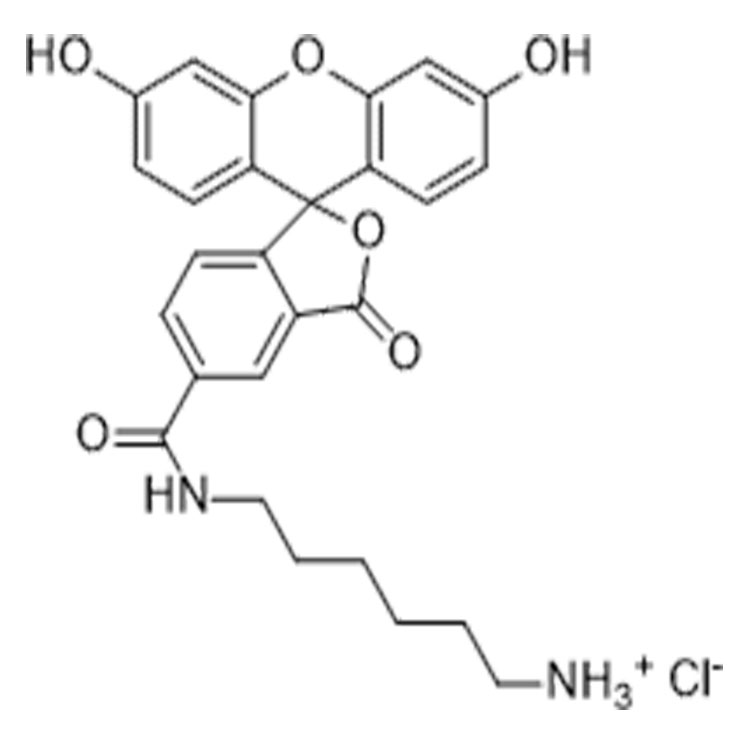 138589-19-2，FAM amine, 5-isomer，5-羧基荧光素-氨基盐酸盐