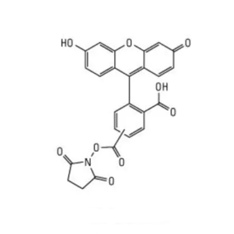 FITC NHS，荧光素-活性酯，Fluorescein NHS