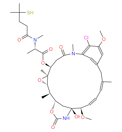 美登素DM4