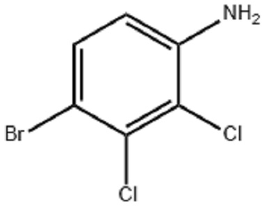 56978-48-4 4-溴-2,3-二氯苯胺