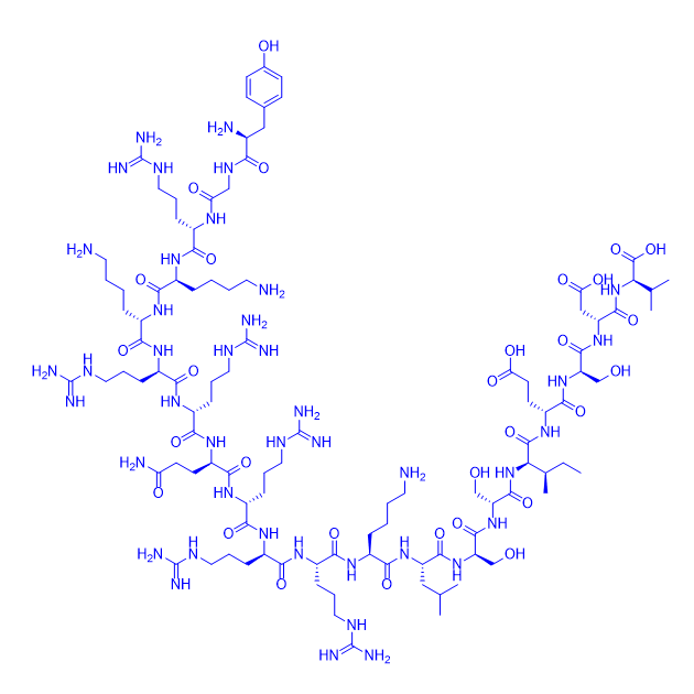 抑制剂多肽Tat-NR2B9c/500992-11-0