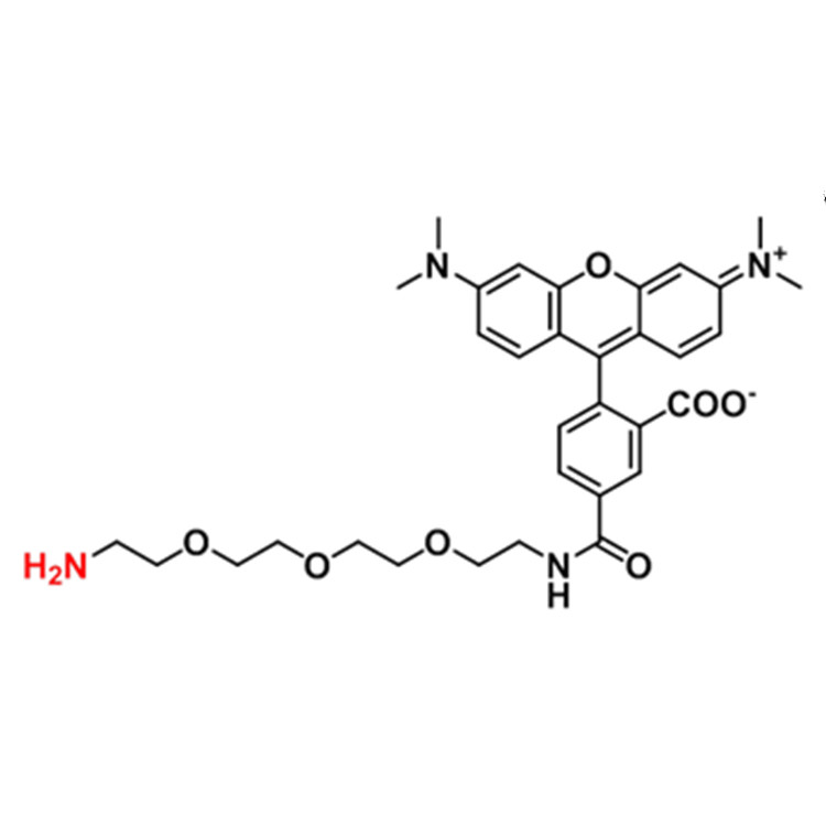 2600727-55-5，5-TAMRA-PEG3-amine，5-四甲基罗丹明-三聚乙二醇-氨基