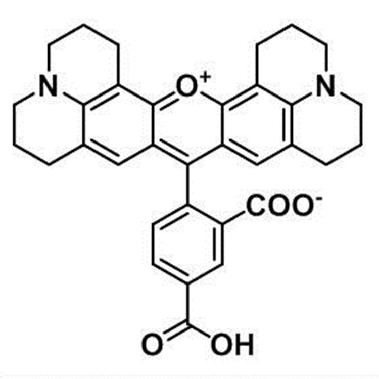 5-Carboxy-X-Rhodamine，216699-35-3，5-羧基-X-罗丹明