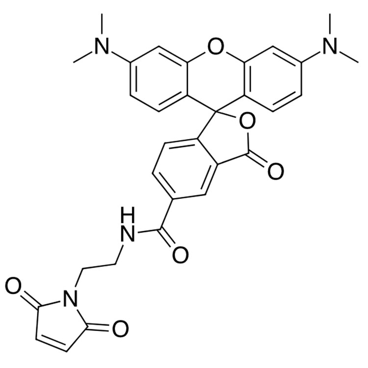 5-TAMRA-MAL，5-四甲基罗丹明马来酰亚胺