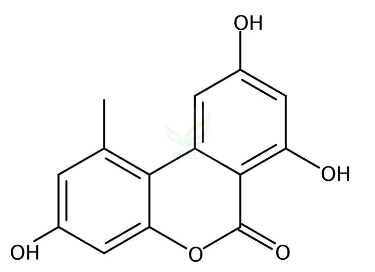 交链孢酚   Alternariol  641-38-3