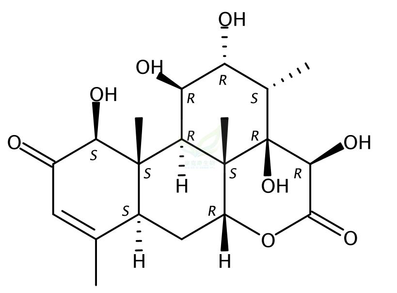 14,15β-dihydroxyklaineanone 137359-82-1  