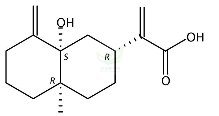 5beta-羟基木香酸 5beta-Hydroxycostic acid 