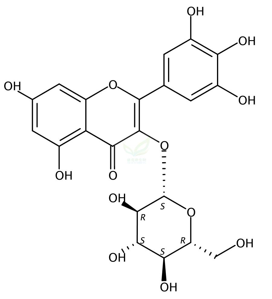 杨梅素-3-O-β-D-葡萄糖苷  19833-12-6