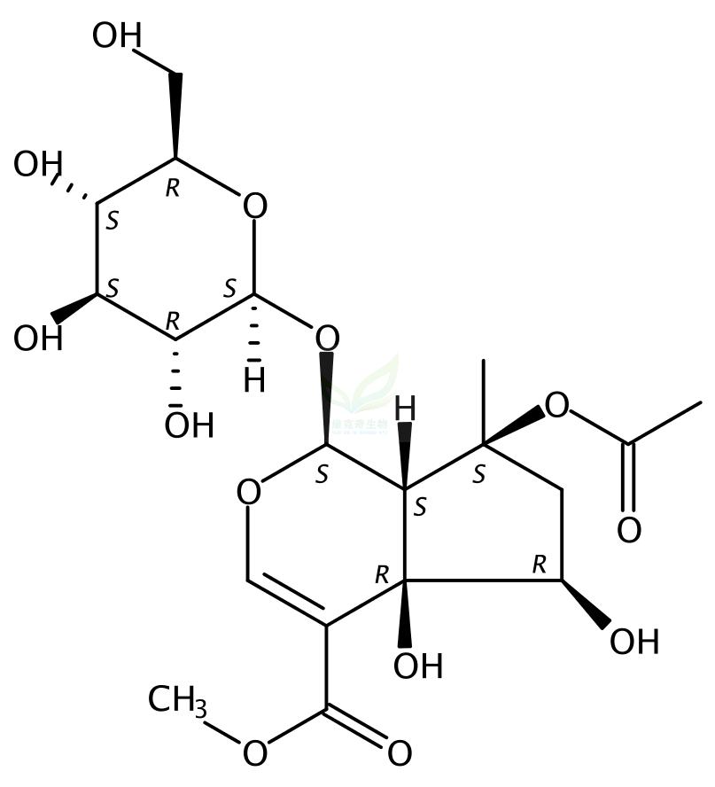 环烯醚萜B  Phlorigidoside B 