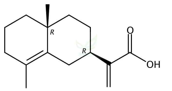 异木香酸  Isocostic acid  69978-82-1