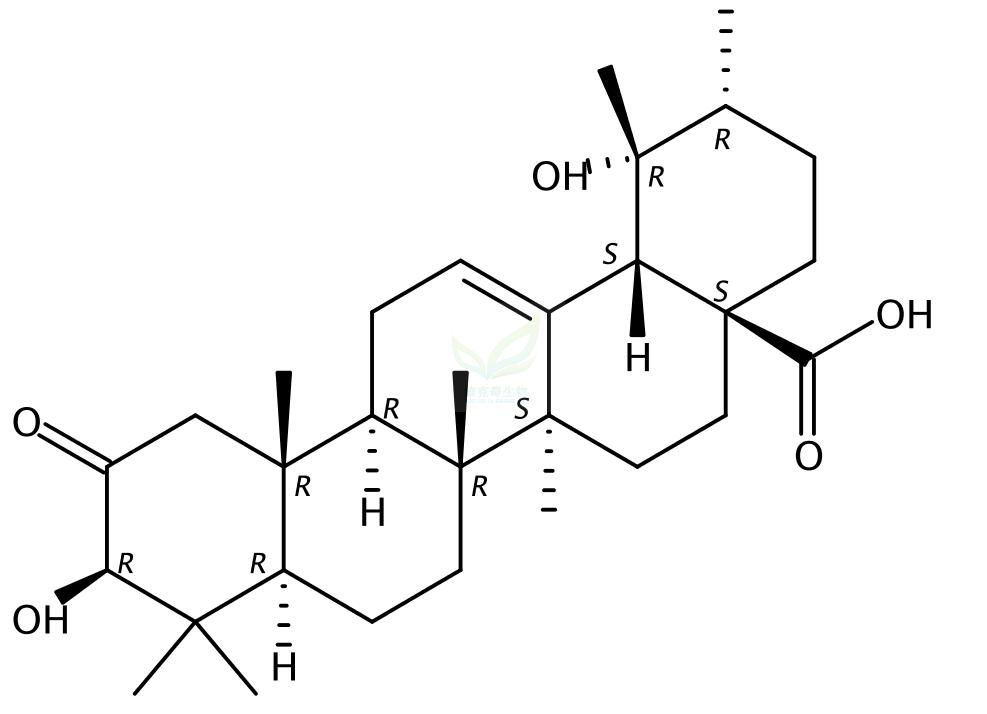 2-氧代果树酸 2-Oxopomolic acid 
