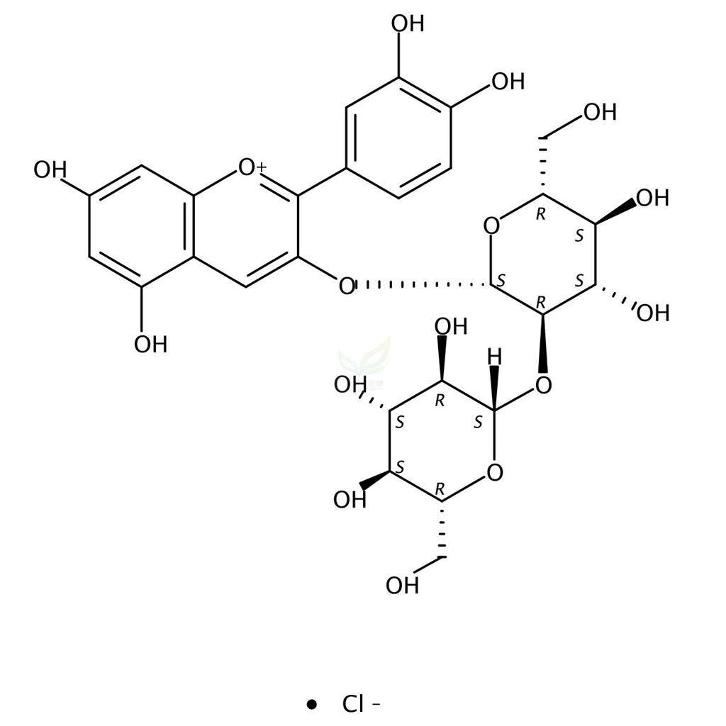 氯化矢车菊素-3-O-槐糖苷     18376-31-3