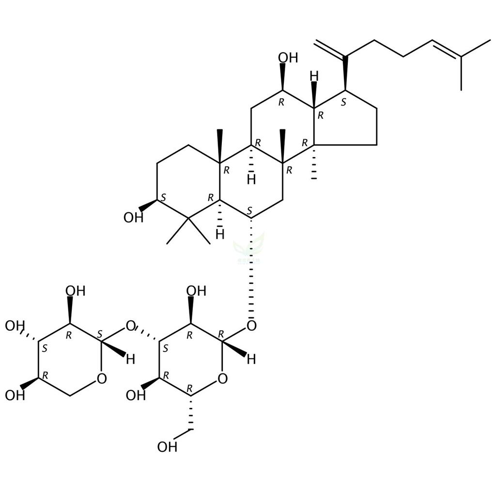 三七皂苷T5 Notoginsenoside T5 769932-34-5 