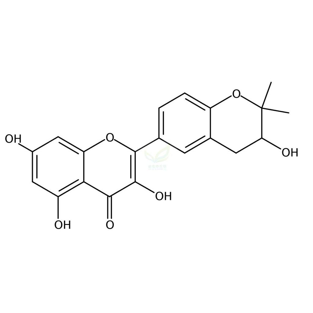 甘草黄酮醇A   Glycyrrhiza flavonol A 