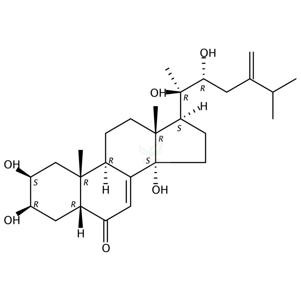 猪苓酮B  Polyporusterone B   141360-89-6