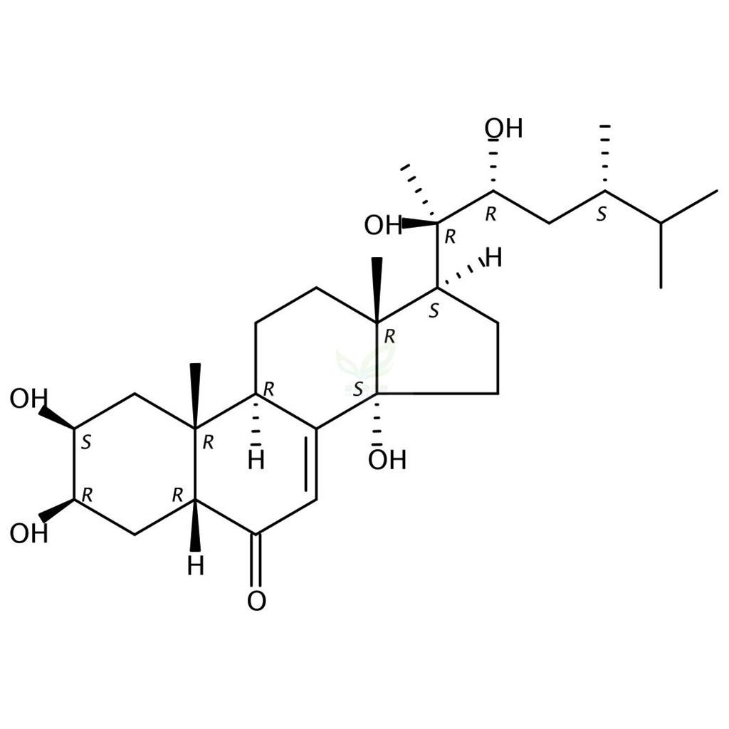 猪苓酮A  Polyporusterone A  141360-88-5